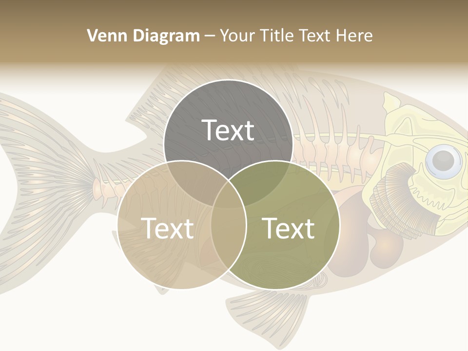 Indoors Kitchen Table PowerPoint Template