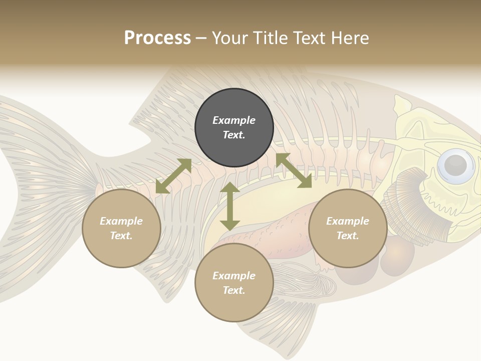 Indoors Kitchen Table PowerPoint Template