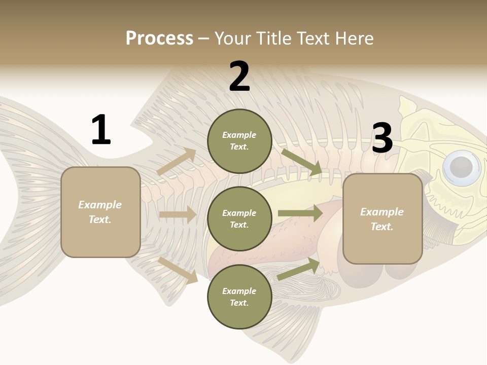 Indoors Kitchen Table PowerPoint Template
