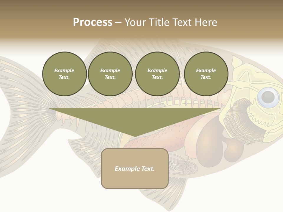 Indoors Kitchen Table PowerPoint Template