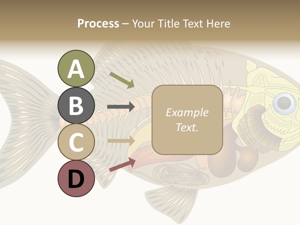 Indoors Kitchen Table PowerPoint Template