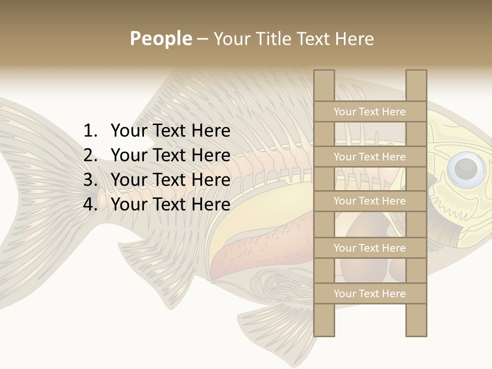 Indoors Kitchen Table PowerPoint Template