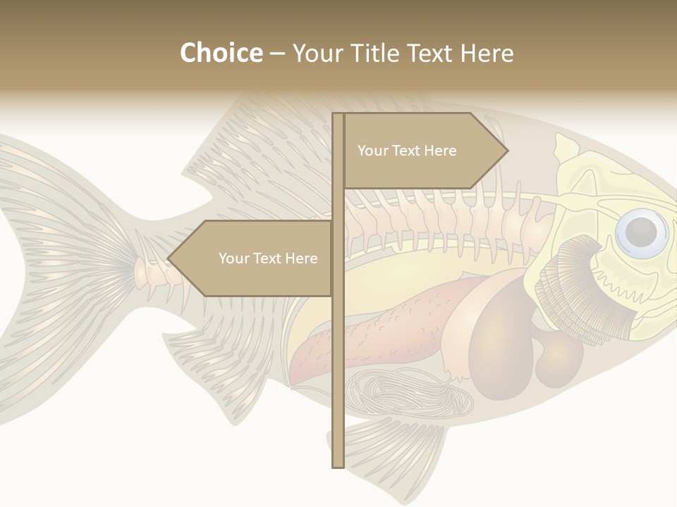 Indoors Kitchen Table PowerPoint Template