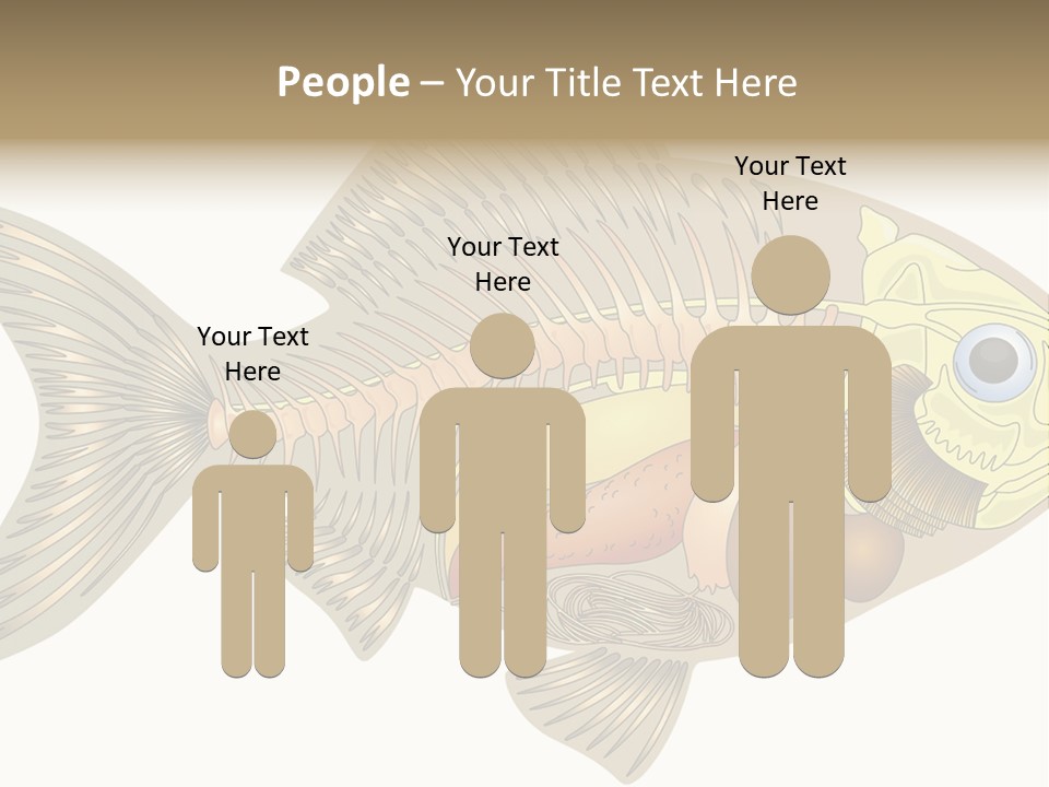 Indoors Kitchen Table PowerPoint Template