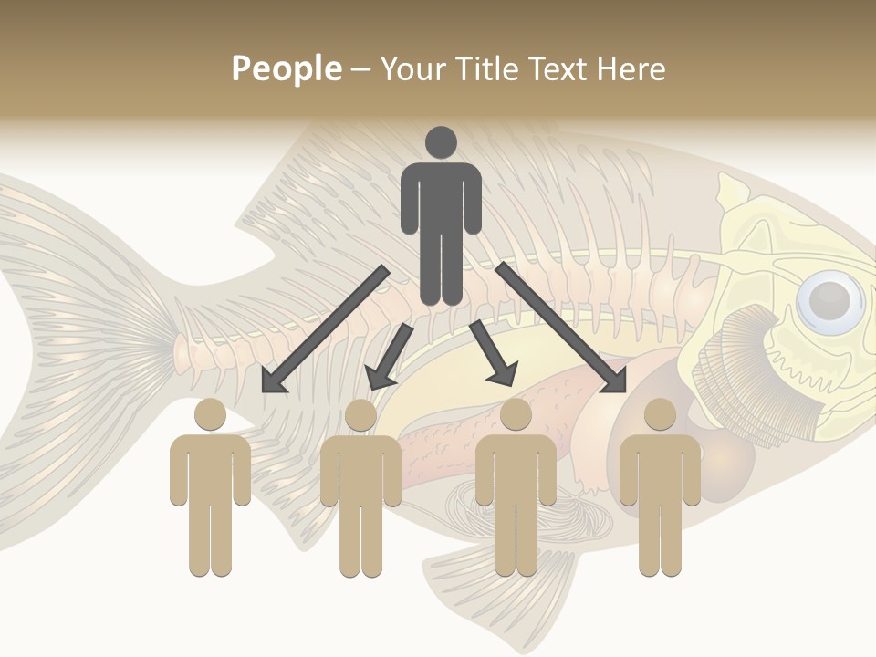 Indoors Kitchen Table PowerPoint Template