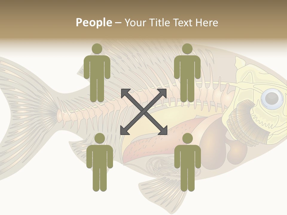 Indoors Kitchen Table PowerPoint Template