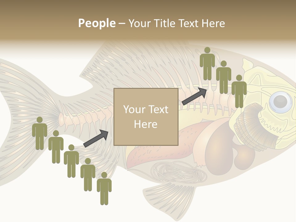 Indoors Kitchen Table PowerPoint Template