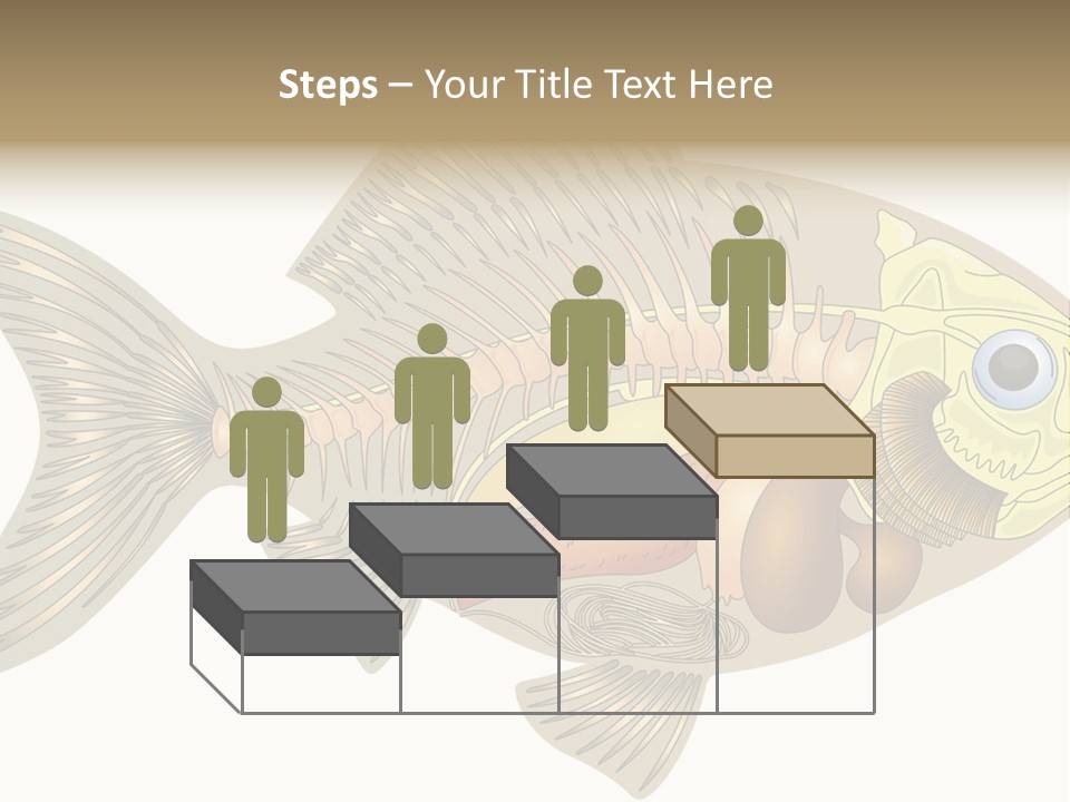 Indoors Kitchen Table PowerPoint Template