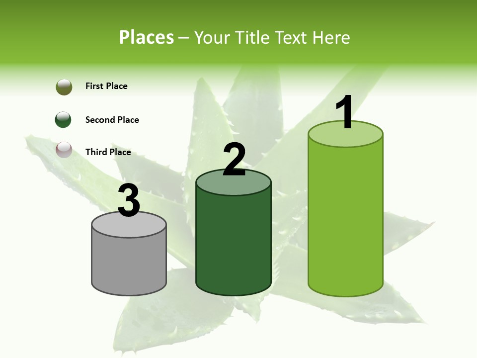 Flower Detail Aloe PowerPoint Template