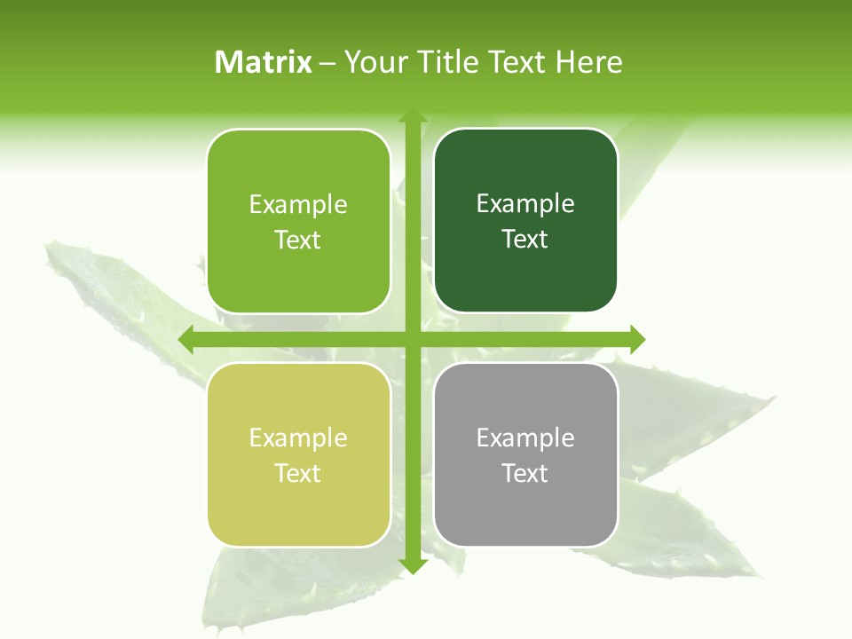 Flower Detail Aloe PowerPoint Template