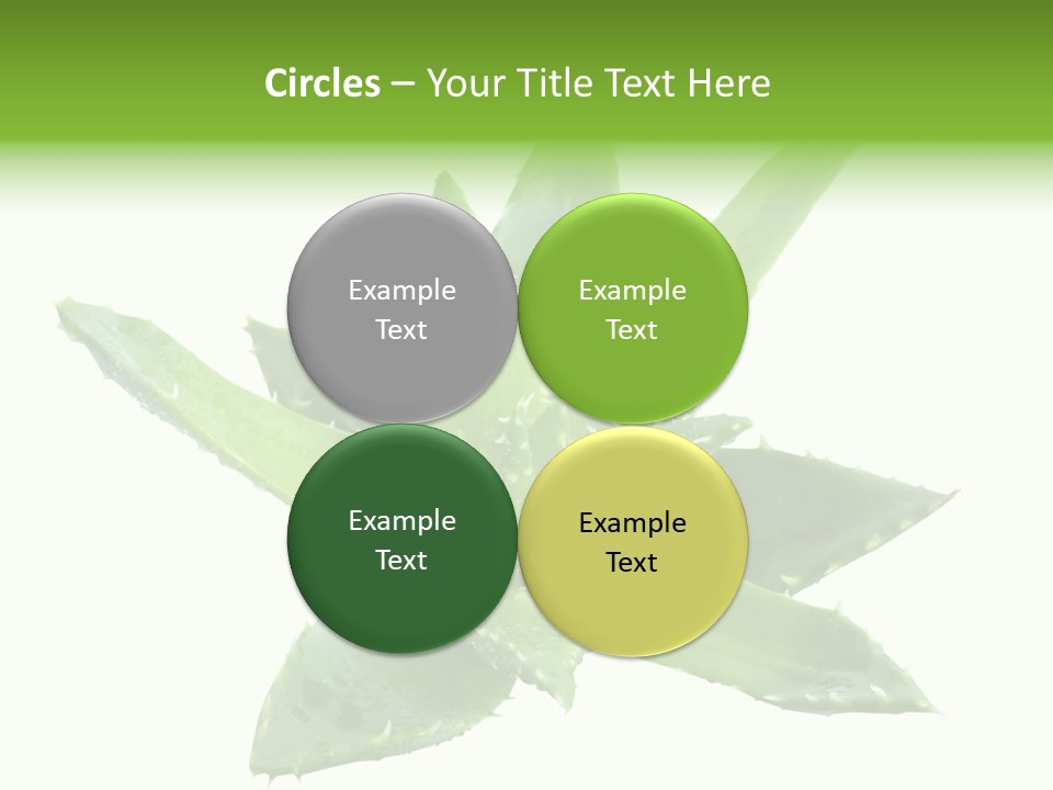 Flower Detail Aloe PowerPoint Template