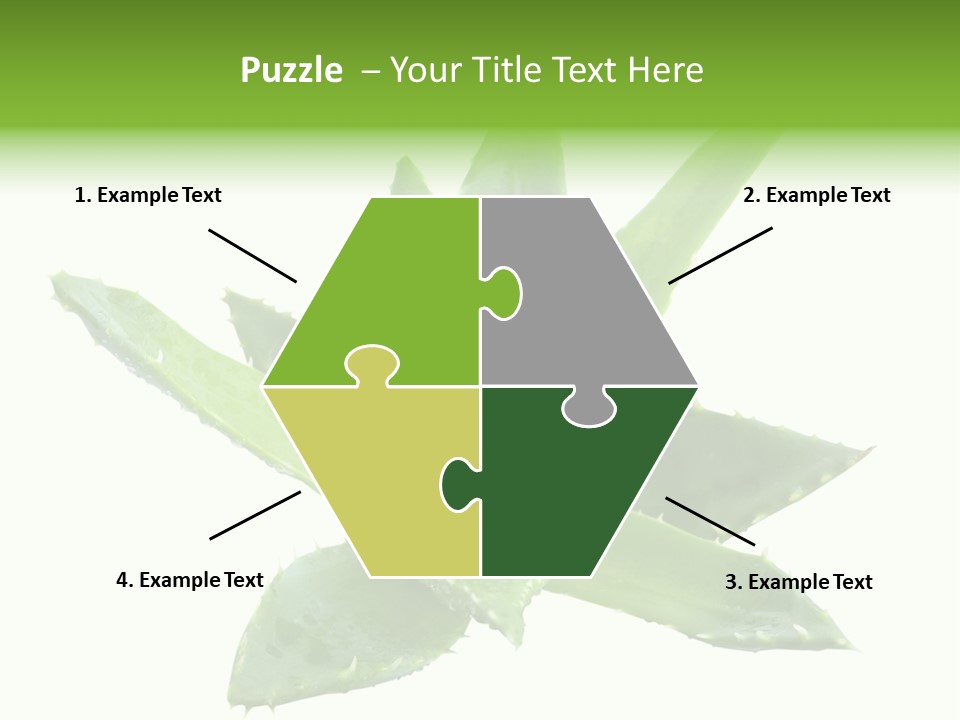 Flower Detail Aloe PowerPoint Template