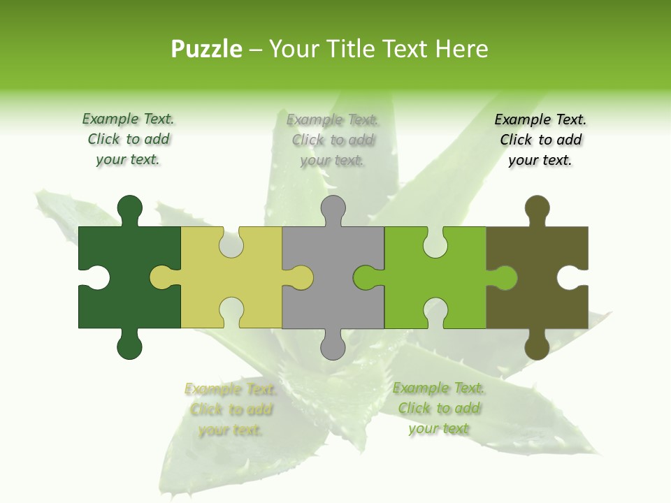 Flower Detail Aloe PowerPoint Template