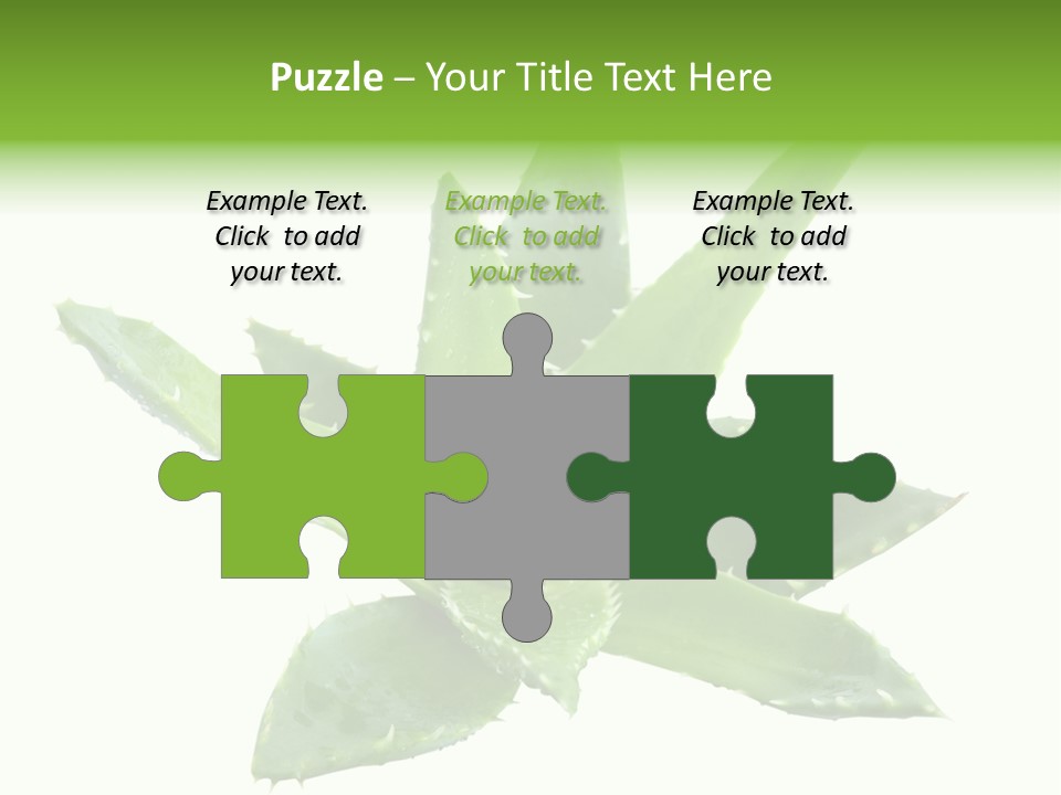 Flower Detail Aloe PowerPoint Template