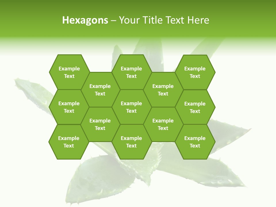 Flower Detail Aloe PowerPoint Template