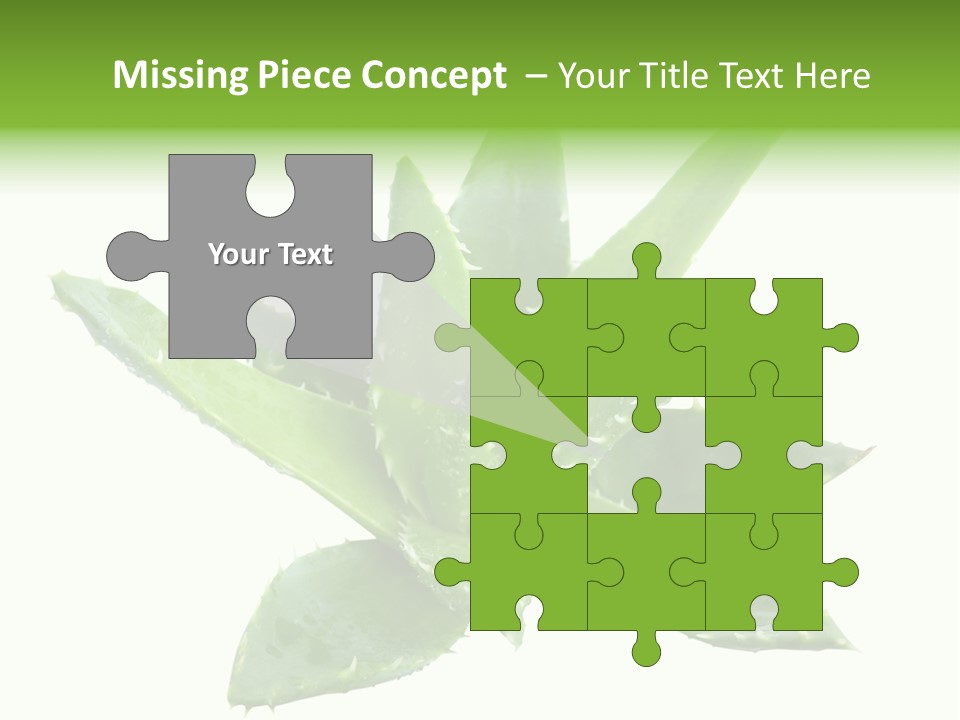 Flower Detail Aloe PowerPoint Template