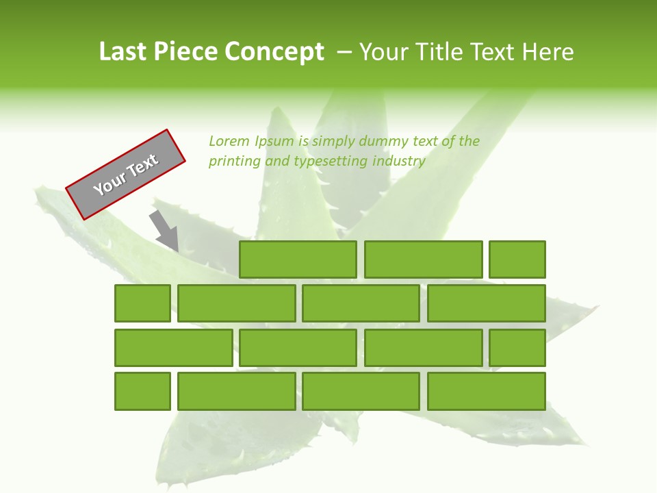 Flower Detail Aloe PowerPoint Template