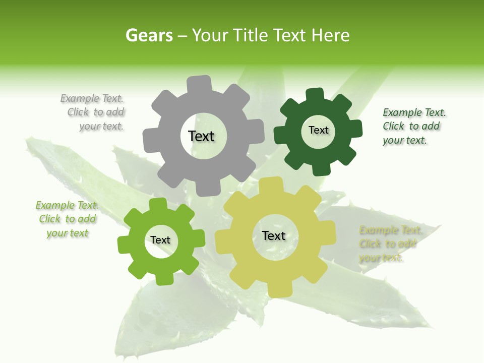 Flower Detail Aloe PowerPoint Template