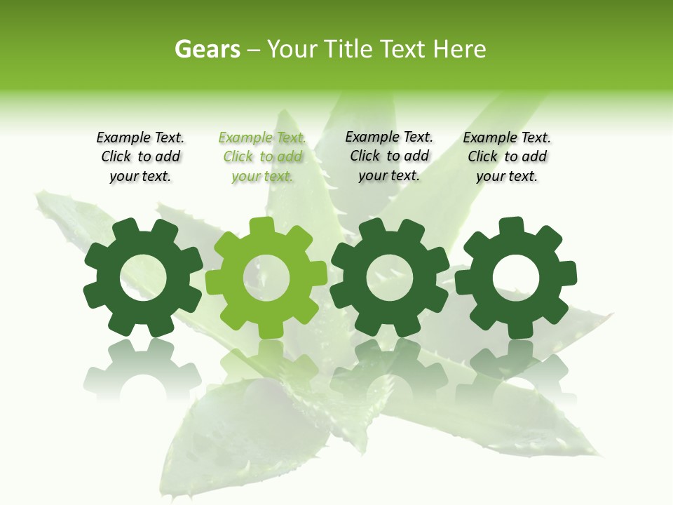 Flower Detail Aloe PowerPoint Template