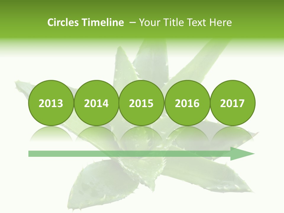 Flower Detail Aloe PowerPoint Template