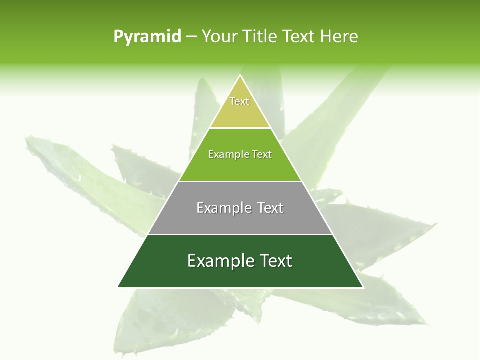 Flower Detail Aloe PowerPoint Template