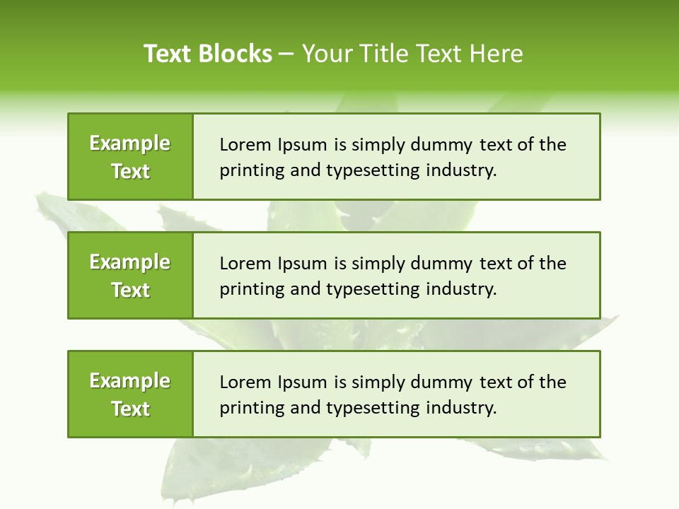 Flower Detail Aloe PowerPoint Template