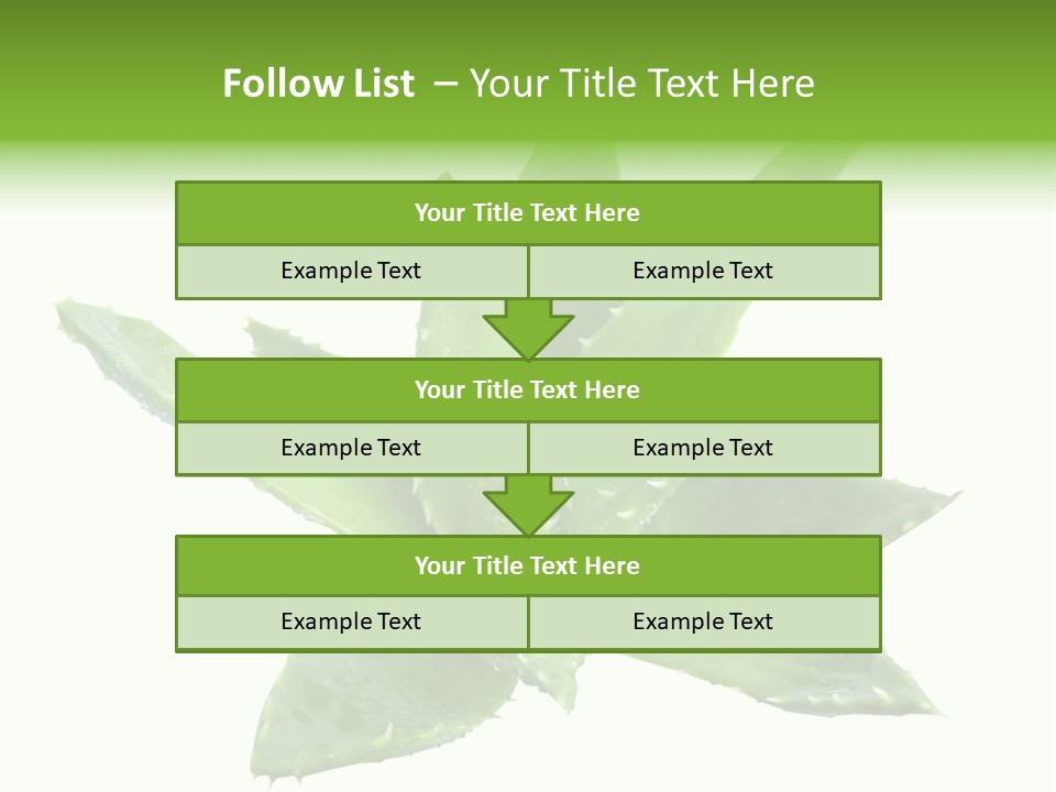 Flower Detail Aloe PowerPoint Template