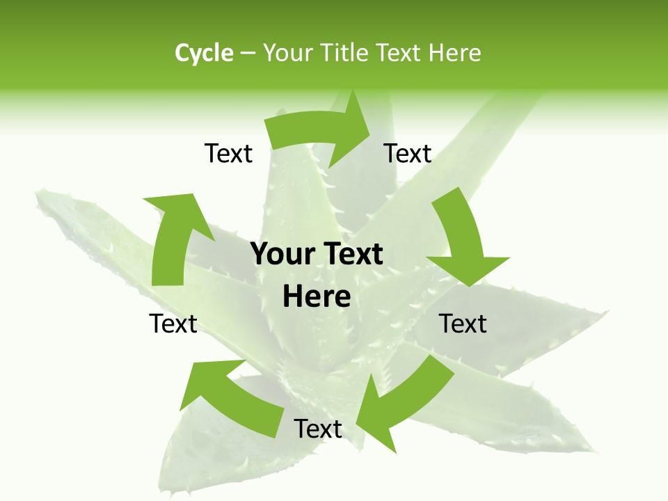 Flower Detail Aloe PowerPoint Template