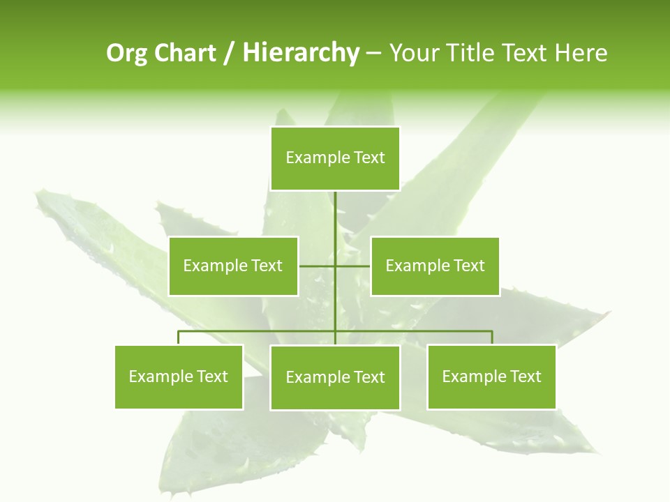 Flower Detail Aloe PowerPoint Template