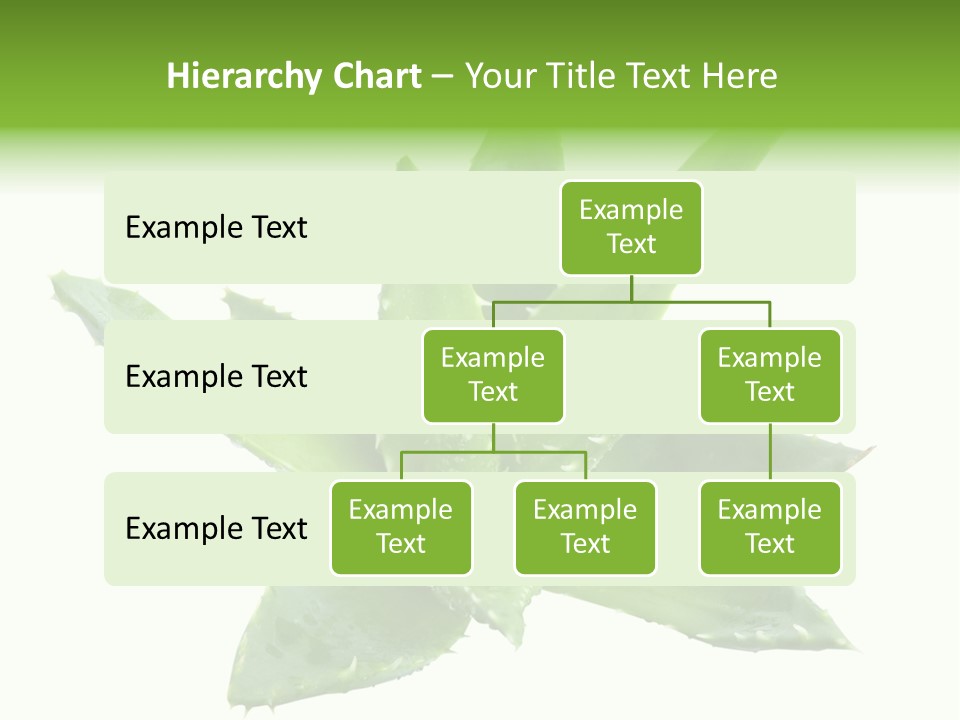 Flower Detail Aloe PowerPoint Template