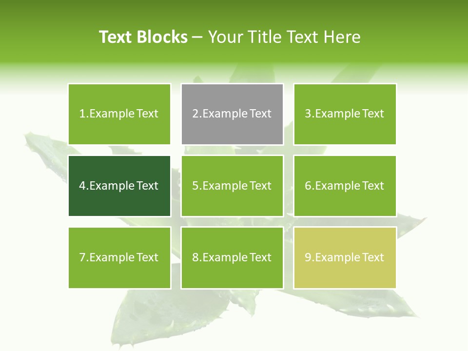 Flower Detail Aloe PowerPoint Template