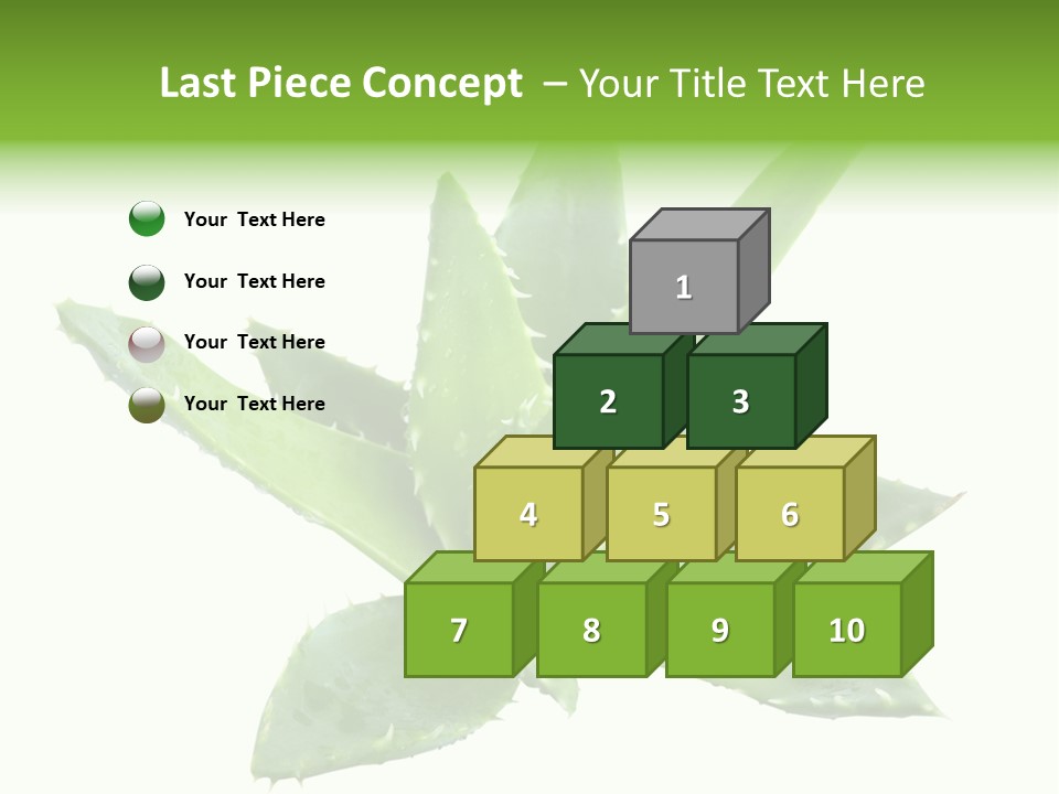 Flower Detail Aloe PowerPoint Template