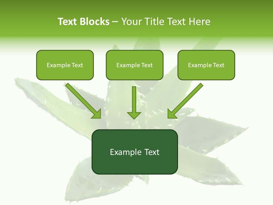 Flower Detail Aloe PowerPoint Template