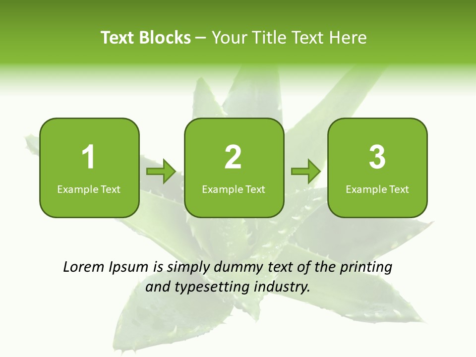 Flower Detail Aloe PowerPoint Template