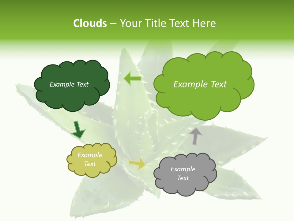 Flower Detail Aloe PowerPoint Template