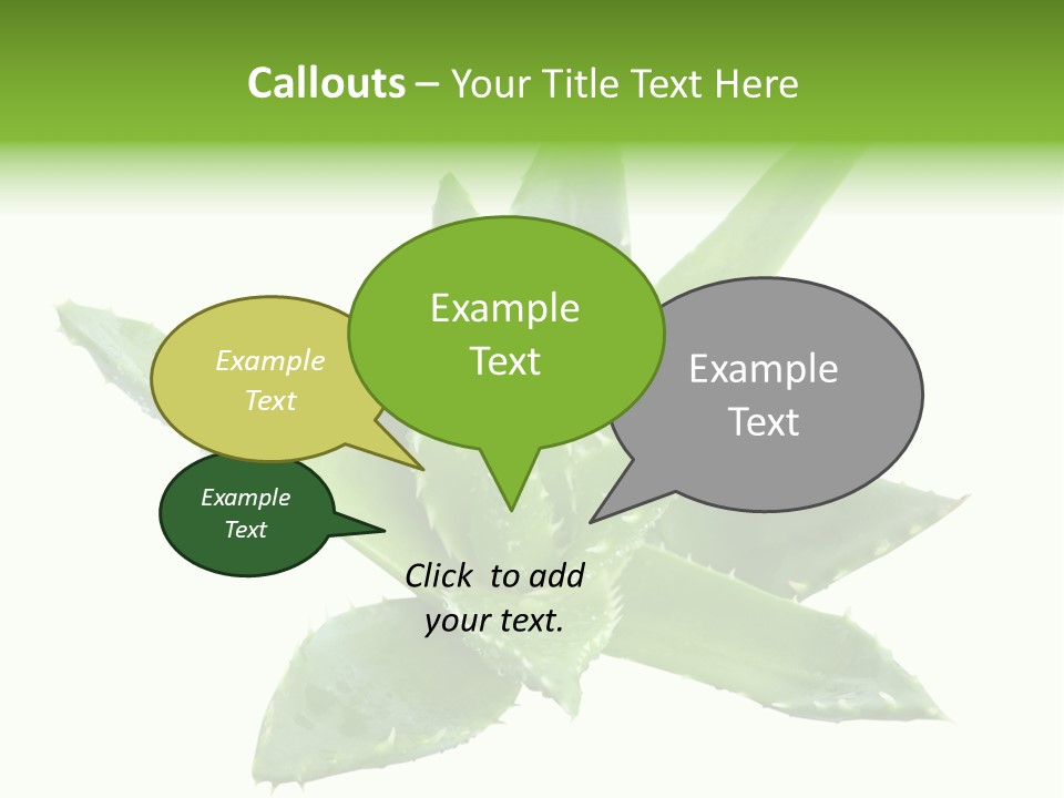 Flower Detail Aloe PowerPoint Template