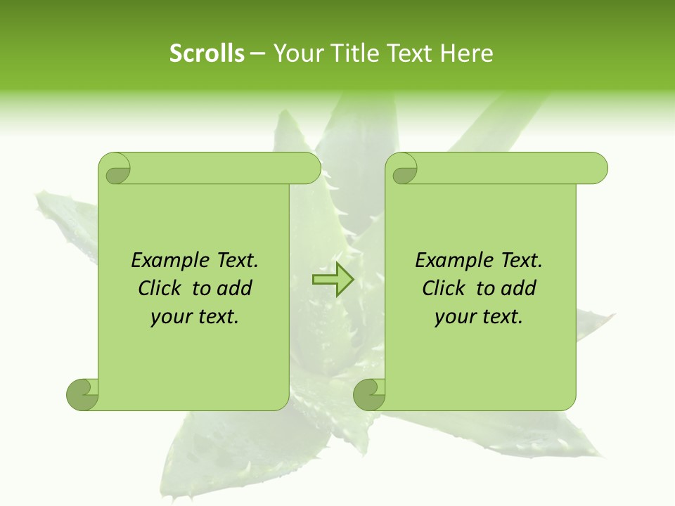 Flower Detail Aloe PowerPoint Template