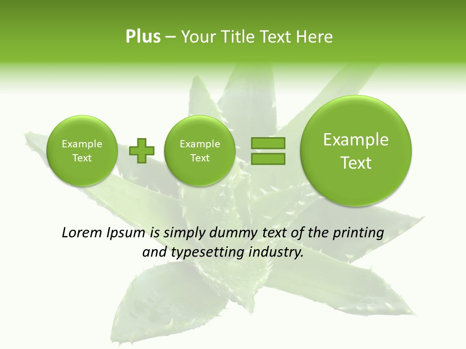 Flower Detail Aloe PowerPoint Template