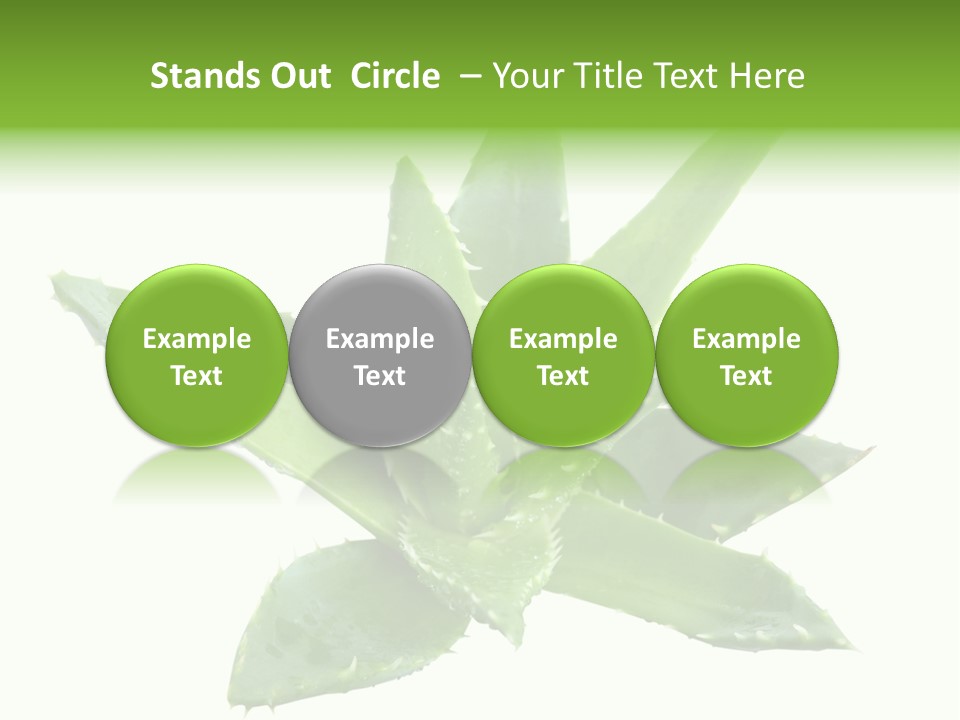 Flower Detail Aloe PowerPoint Template