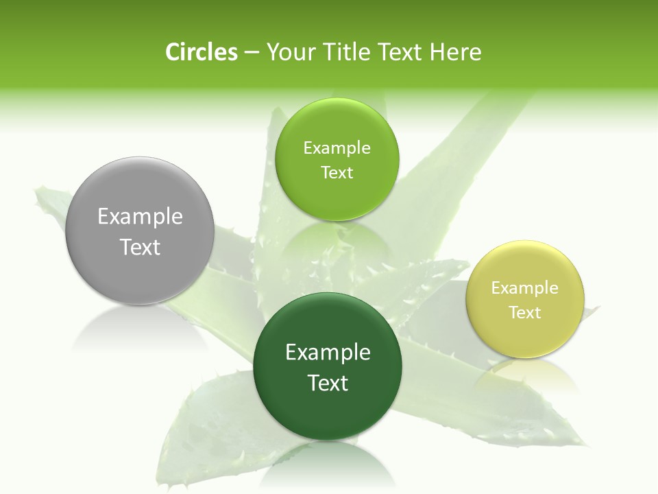 Flower Detail Aloe PowerPoint Template