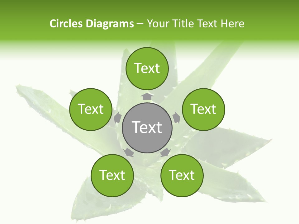 Flower Detail Aloe PowerPoint Template