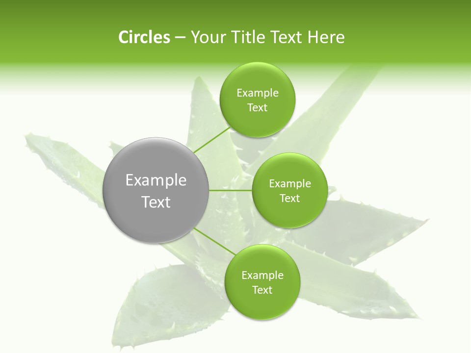 Flower Detail Aloe PowerPoint Template