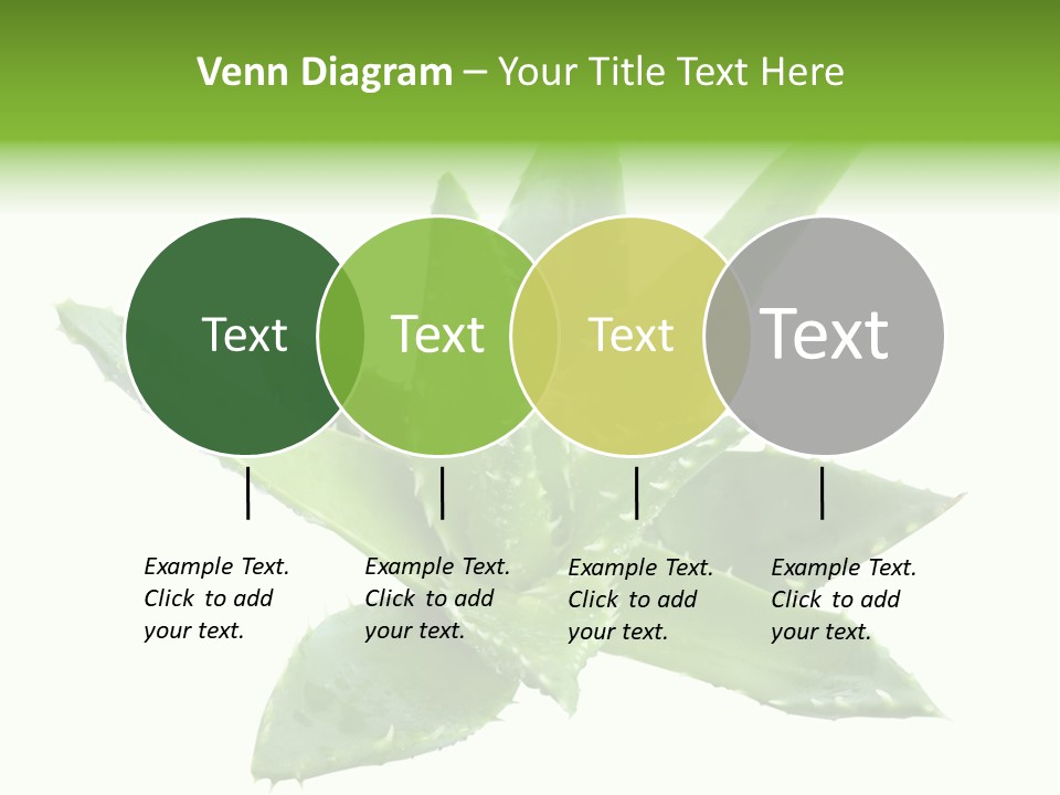 Flower Detail Aloe PowerPoint Template