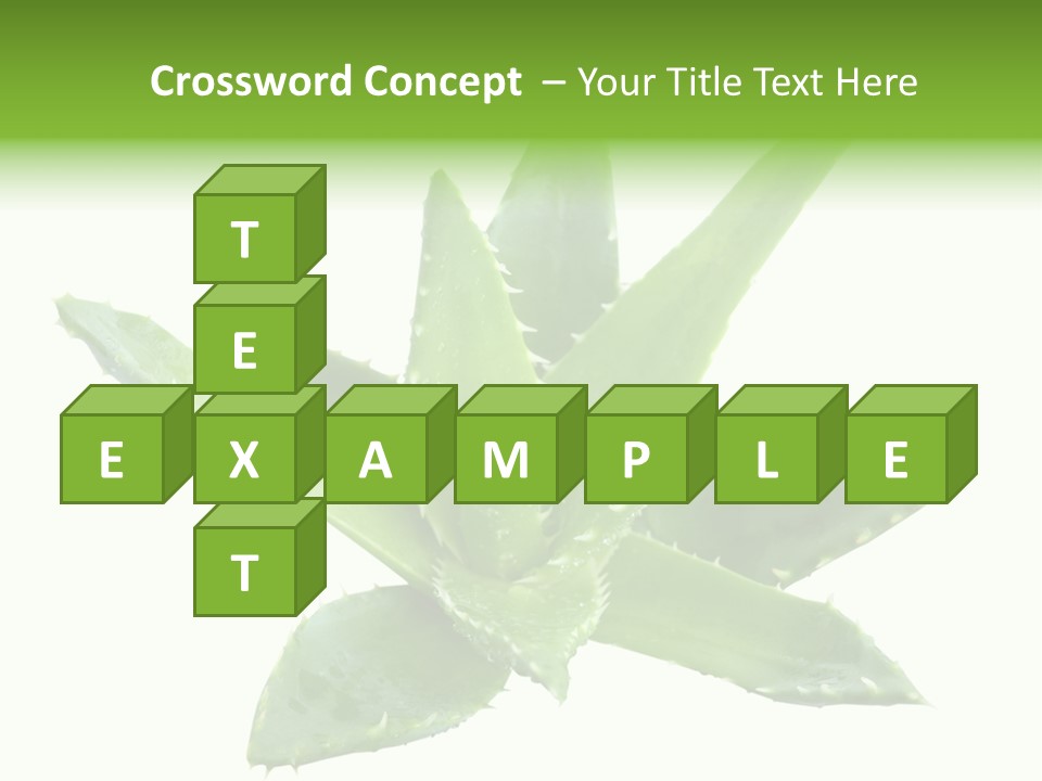 Flower Detail Aloe PowerPoint Template