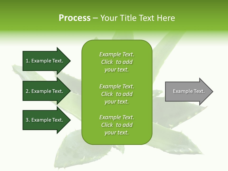 Flower Detail Aloe PowerPoint Template