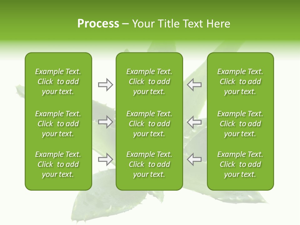 Flower Detail Aloe PowerPoint Template