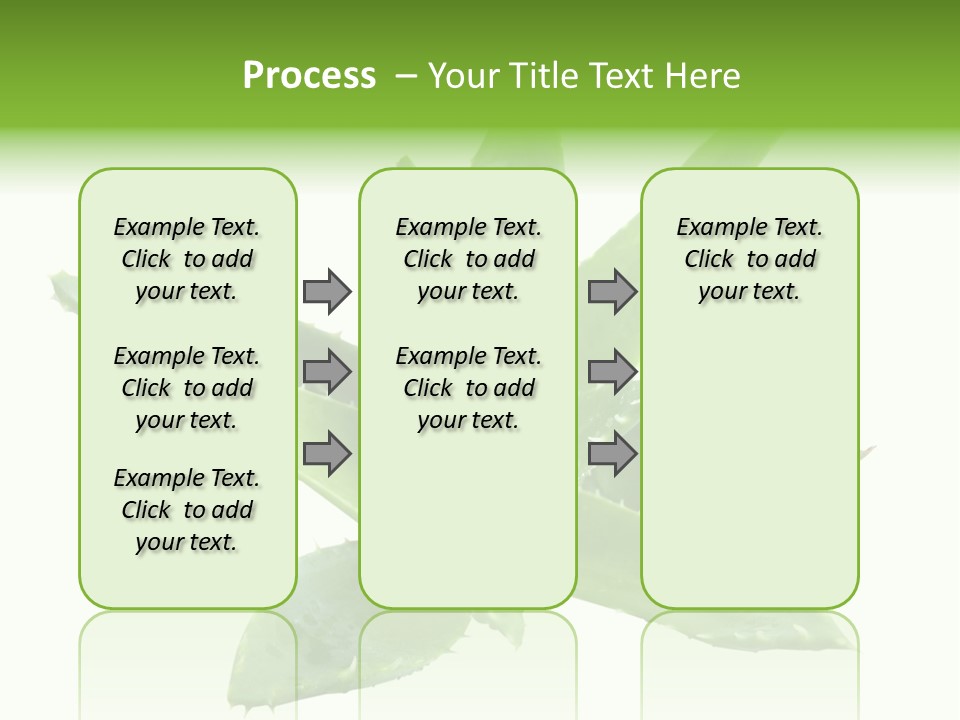 Flower Detail Aloe PowerPoint Template