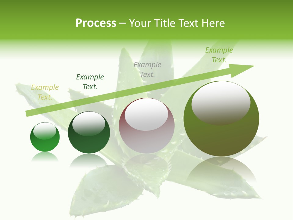 Flower Detail Aloe PowerPoint Template