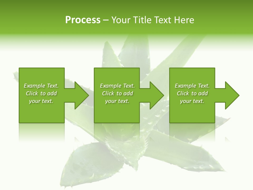 Flower Detail Aloe PowerPoint Template