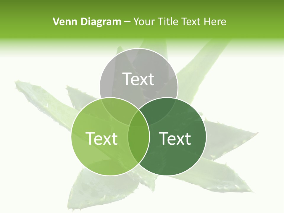 Flower Detail Aloe PowerPoint Template